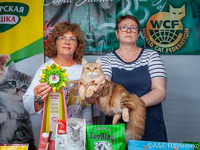 �������� ����� 16-17.09.2023 ���������� 8-27-klk_Moskva_0438.jpg