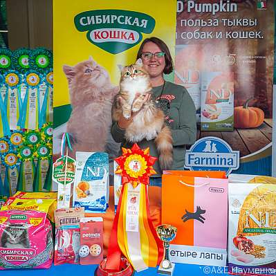 �������� ����� 16-17 �������� 2023 �., ������������ � ������ ���.