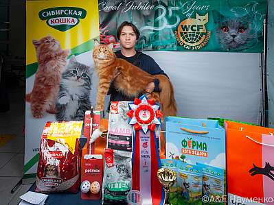 �������� ����� 16-17 �������� 2023 �., ������������ � ������ ���.