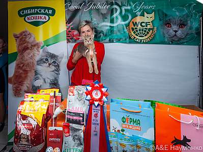 �������� ����� 16-17.09.2023 ���������� 7-28-klk_Moskva_0454.jpg