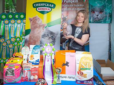 �������� ����� 16-17 �������� 2023 �., ������������ � ������ ���.