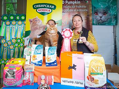 �������� ����� 16-17 �������� 2023 �., ������������ � ������ ���.