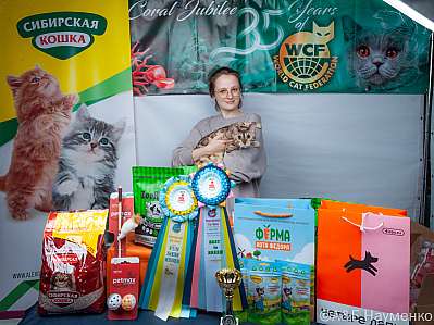 �������� ����� 16-17 �������� 2023 �., ������������ � ������ ���.