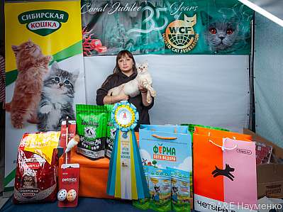 �������� ����� 16-17.09.2023 ���������� 4-38-klk_Moskva_0448.jpg