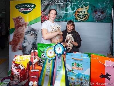 �������� ����� 16-17.09.2023 ���������� 5-34-klk_Moskva_0442.jpg