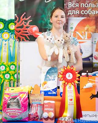 �������� ����� 16-17.09.2023 ���������� 6-107-klk_Moskva_0078.jpg