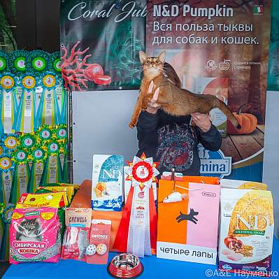 �������� ����� 16-17.09.2023 ���������� 10-91-klk_Moskva_0046.jpg