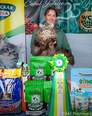 �������� ����� 16-17 �������� 2023 �. WCF-�����