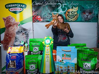 �������� ����� 16-17.09.2023 ���������� 7-91-klk_Moskva_0301.jpg