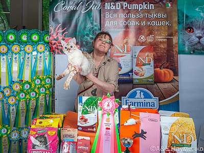 �������� ����� 16-17.09.2023 ���������� 5-38-klk_Moskva_0040.jpg