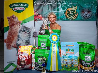 �������� ����� 16-17 �������� 2023 �. WCF-�����