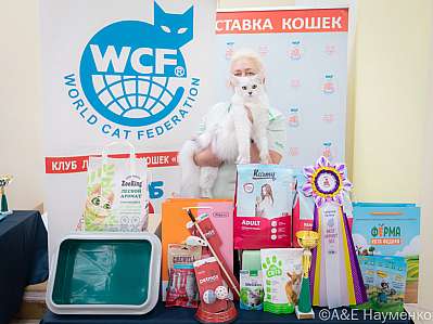 �������� ����� 21-22.10.2023 ���������� 4-85-IMG_5412.jpg