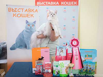 �������� ����� 21-22.10.2023 ���������� 2-84-IMG_5074.jpg