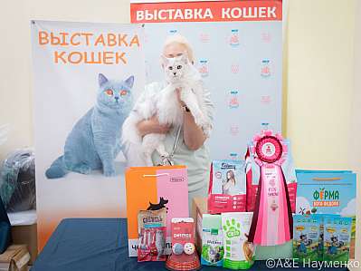 �������� ����� 21-22.10.2023 ���������� 4-85-IMG_5030.jpg