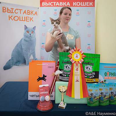 �������� ����� 21-22.10.2023 ���������� 2-61-IMG_2703.jpg