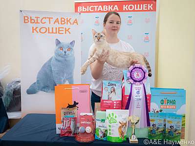 �������� ����� 21-22.10.2023 ���������� 3-93-IMG_4760.jpg