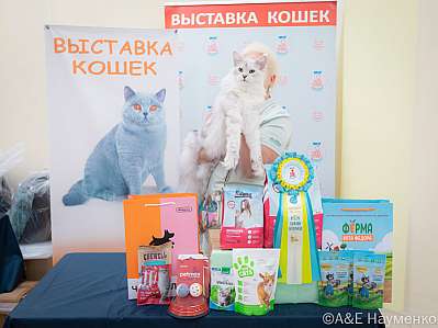 �������� ����� 21-22.10.2023 ���������� 7-84-IMG_4722.jpg