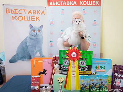 �������� ����� 21-22.10.2023 ���������� 3-85-IMG_1196.jpg