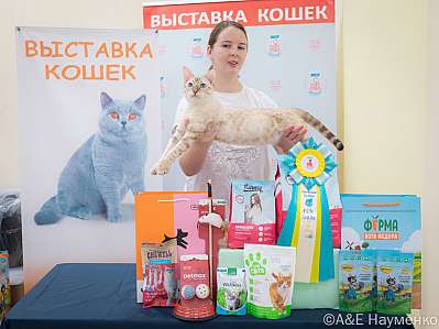 �������� ����� 21-22.10.2023 ���������� 9-93-IMG_3855.jpg