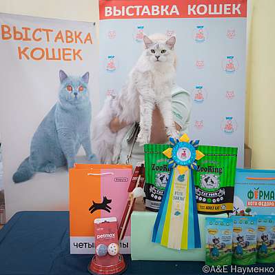 �������� ����� 21-22.10.2023 ���������� 8-84-IMG_2303.jpg