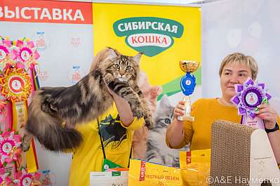   8-10.03.2024  9-121-0383.jpg