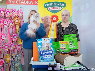   8-10.03.2024  4-119-0537.jpg