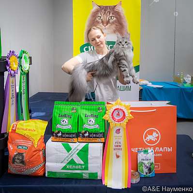   17-18.08.2024  10-112-0816.jpg