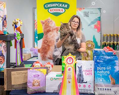   17-18.08.2024  6-13-0386.jpg