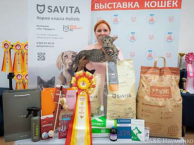   14-15.09.2024  5-84-0718.jpg