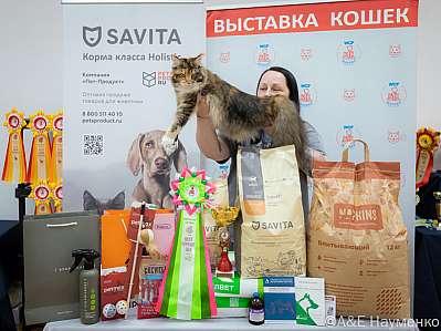   14-15.09.2024  8-18-_0700.jpg