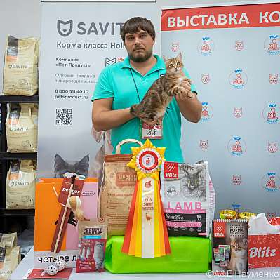   14-15.09.2024  6-88-0664.jpg