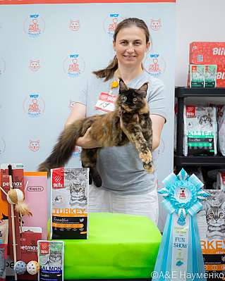   14-15.09.2024  5-19-0170.jpg