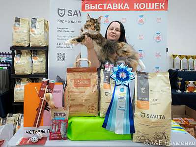   14-15.09.2024  5-18-0511.jpg