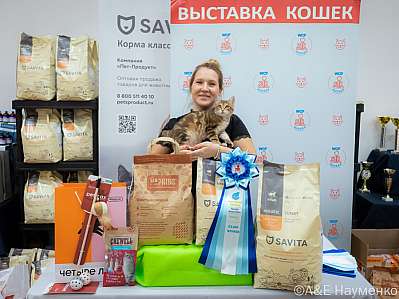   14-15.09.2024  7-88-0506.jpg