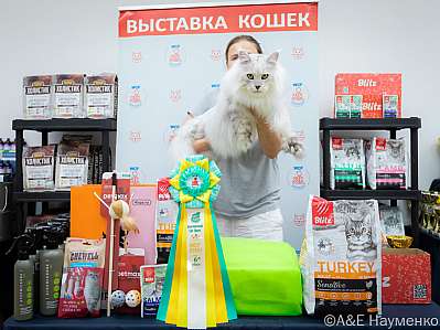   14-15.09.2024  6-34-0121.jpg