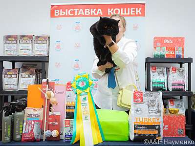   14-15.09.2024  8-49-0119.jpg