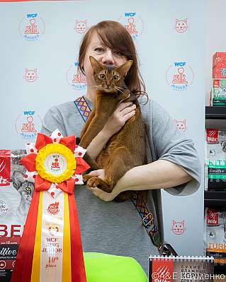   14-15.09.2024  10-42-0034.jpg