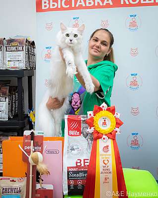   14-15.09.2024  8-20-0037.jpg