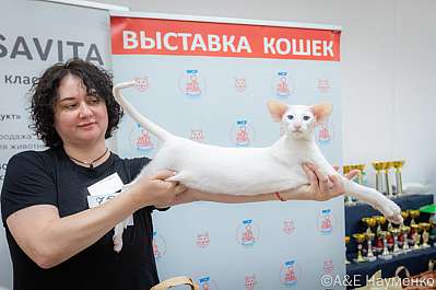   14-15.09.2024  5-76-0486.jpg